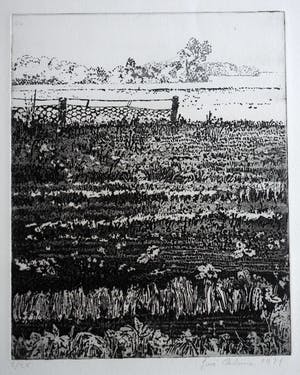 Jose Calsina - Het weiland kopen? Bied vanaf 50!