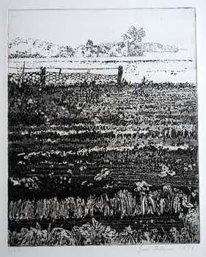 Jose Calsina - Het weiland verkocht voor € 50!