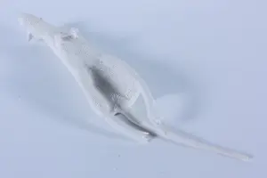 Kathja Smits - Porselein, Ratje kopen? Bied vanaf 100!