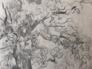 Willem Roelofs - Studie van een eik (Frankrijk 1848) kopen? Bied vanaf 100!