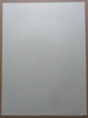 Raymond Moretti - CONTRABAS MUZIKANT / KLEURLITHO / 76x56cm / SIG kopen? Bied vanaf 45!