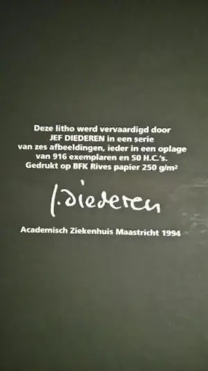 Jef Diederen - Serie van 6 litho's - 1994 kopen? Bied vanaf 125!