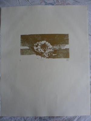 Astrid van Leest - Kleuren ets, Titel, "Chrysant". kopen? Bied vanaf 15!