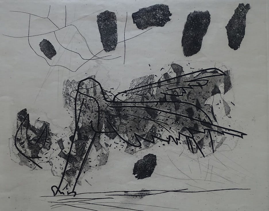 Wout van Heusden - Gevleugeld dier dat zijn kop verliest kopen? Bied vanaf 90!