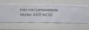 Inez van Lamsweerde - Kate Moss kopen? Bied vanaf 100!