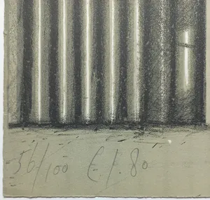 Siet Zuyderland - Hekwerk, litho kopen? Bied vanaf 75!