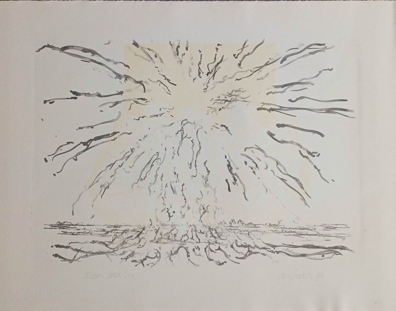 Willem den Ouden - gesigneerde litho kopen? Bied vanaf 79!