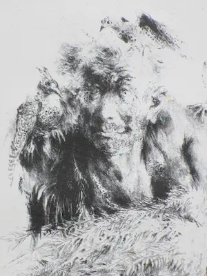 Jan Mensinga - Man met vier vogels - Litho kopen? Bied vanaf 1!