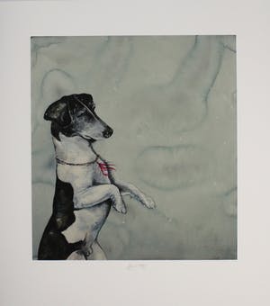 Bruno Bruni - Zeefdruk MY DOG Handgesigneerd. kopen? Bied vanaf 55!