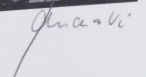 Ralph Janowski - Mooie zwart/wit print, Klimop kopen? Bied vanaf 1!