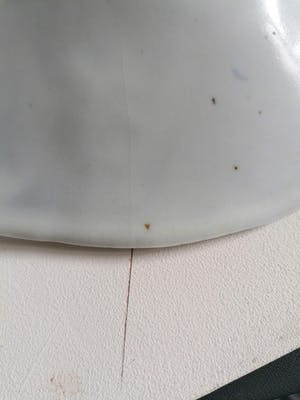 Johan van Loon - grote wijde kom/schaal kopen? Bied vanaf 1!