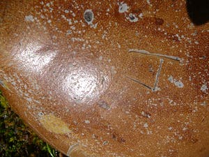 Niet of onleesbaar gesigneerd - Grote baardkruik (zonder baard) kopen? Bied vanaf 1!