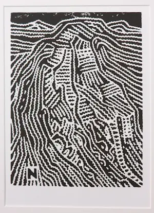 Janus Nuiten - Lino, Lot van 40 lino's kopen? Bied vanaf 100!