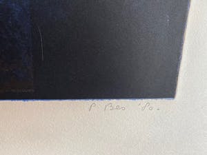 Peter Bes - geen titel kopen? Bied vanaf 35!