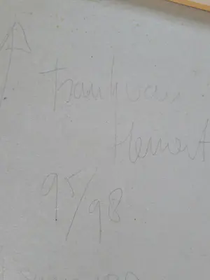 Frank van Hemert - Secret Survivors (2 stuks) kopen? Bied vanaf 175!