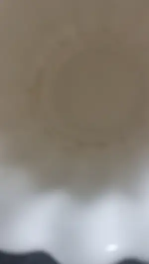 Plateelbakkerij Zenith - crème wit plateel cache potten kopen? Bied vanaf 30!