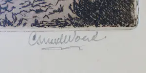 Cor van der Woerd - Wilgen kopen? Bied vanaf 100!