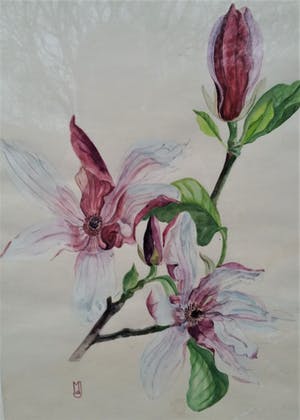 Niet of onleesbaar gesigneerd - Prachtige aquarel , met monogram, in een goede staat kopen? Bied vanaf 1!