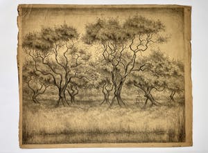 Dick van Luijn - Boomgaard 1920 kopen? Bied vanaf 55!