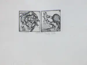 Ab Steenvoorden - Wonderwoman - Ets kopen? Bied vanaf 1!