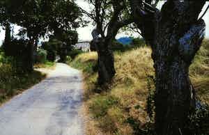 Paul Huf - Foto, Steeg - Ingelijst verkocht voor € 1!