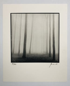 Ralph Janowski - zonder titel kopen? Bied vanaf 65!