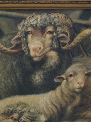 Béla Harmann - Olieverf op doek, “Schapen” – ingelijst – ca 1875-1899 - Groot kopen? Bied vanaf 1!