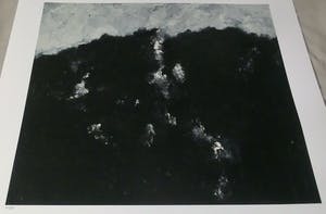 Armando - Waldrand! Giclee op katoenpapier. kopen? Bied vanaf 99!