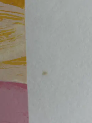 Ton van Kesteren - TWEE ZEEFDRUKKEN kopen? Bied vanaf 59!