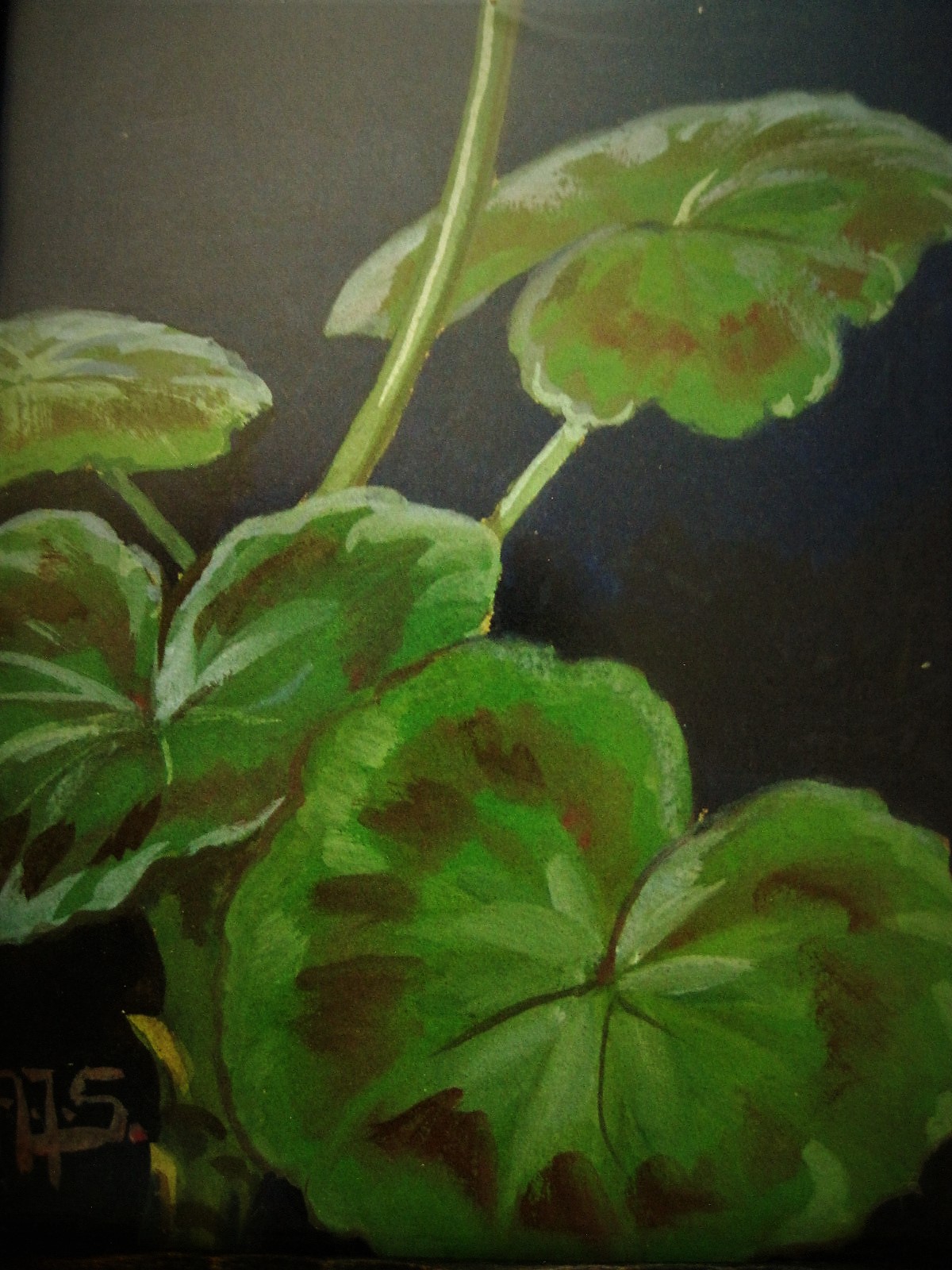 Alberta Johanna Meijer-Smetz - Ingetogen ca. 1930 Gouache "Amaryllis" van bekende bloemenschilderes kopen? Bied vanaf 1!
