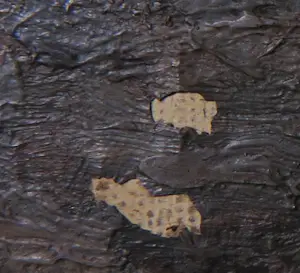 Giljom Ballewijns - Olieverf op doek, Zonder titel kopen? Bied vanaf 50!