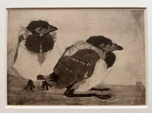 Jan Mankes - Originele Heliogravure 2 Jonge Eksters 1923 kopen? Bied vanaf 185!