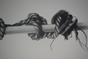 Roger Wittevrongel - Het Touw kopen? Bied vanaf 100!