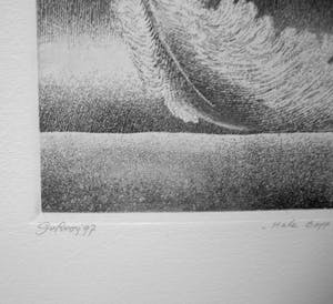 Gerard van Rooy - "Hale Bopp' of "Komeet" kopen? Bied vanaf 25!