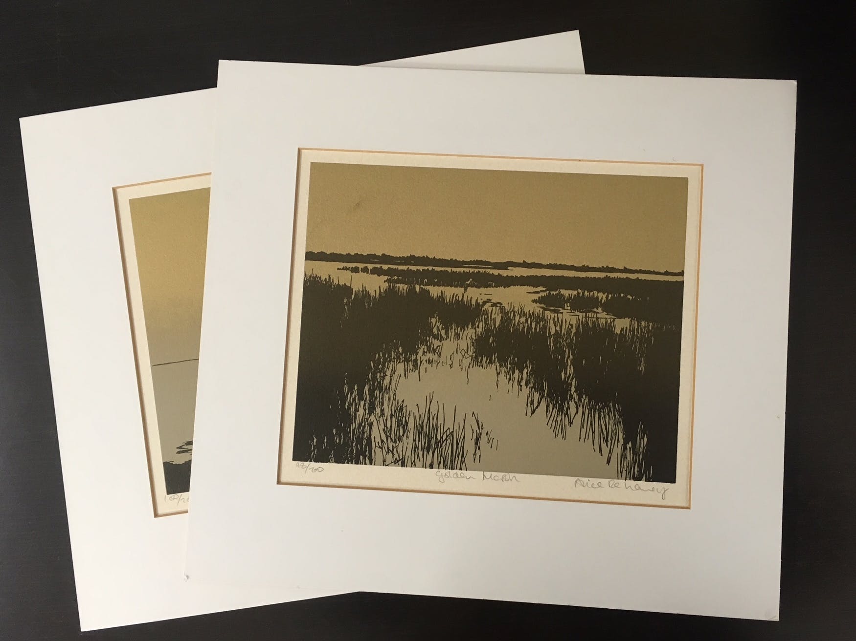 Niet of onleesbaar gesigneerd - Lot met 2 zeefdrukken, Golden lake en Golden Marsh kopen? Bied vanaf 1!