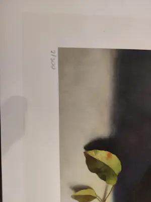 Henk Helmantel - Appels kopen? Bied vanaf 150!