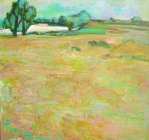 Theo van der Steen - Maasuiterwaard verkocht voor € 100!