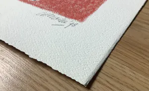 Corneille - Regard sur l'oiseau kopen? Bied vanaf 160!