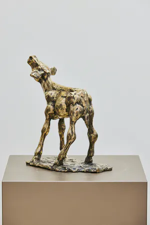 Theo Mackaay - Gouden kalf kopen? Bied vanaf 1600!