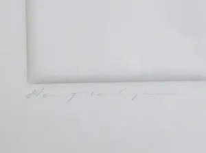 Harry van Kuyk - Reliëfdruk, Letter R - Ingelijst kopen? Bied vanaf 250!