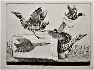 Herman Berserik - Karakteristiek Grafiek - Ets - "Opwind-eend" kleine oplage - potloodgesigneerd kopen? Bied vanaf 30!