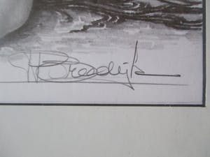 Peter Breedijk - Ingelijste potloodtekening kopen? Bied vanaf 150!