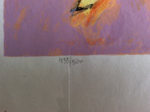 Arthur Bernard - Pink Face kopen? Bied vanaf 40!