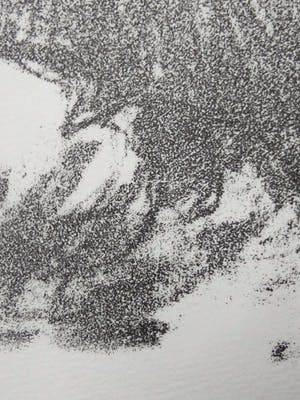 Niet of onleesbaar gesigneerd - Lithografie - Stier. kopen? Bied vanaf 10!