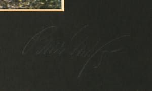 Paul Huf - Foto, Tuin - Ingelijst kopen? Bied vanaf 1!