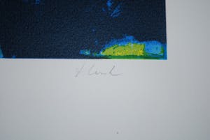 Henk Eikenaar - *Biorientation* - grote abstracte zeefdruk uit 1993 kopen? Bied vanaf 65!