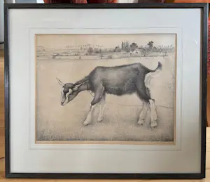 Jan Wittenberg - Geitje kopen? Bied vanaf 75!