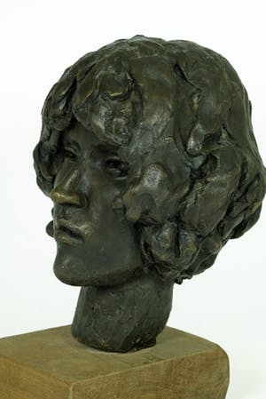 Karel Gomes - Bronzen beeld van hoofd van vrouw - ruim 22 kg kopen? Bied vanaf 695!