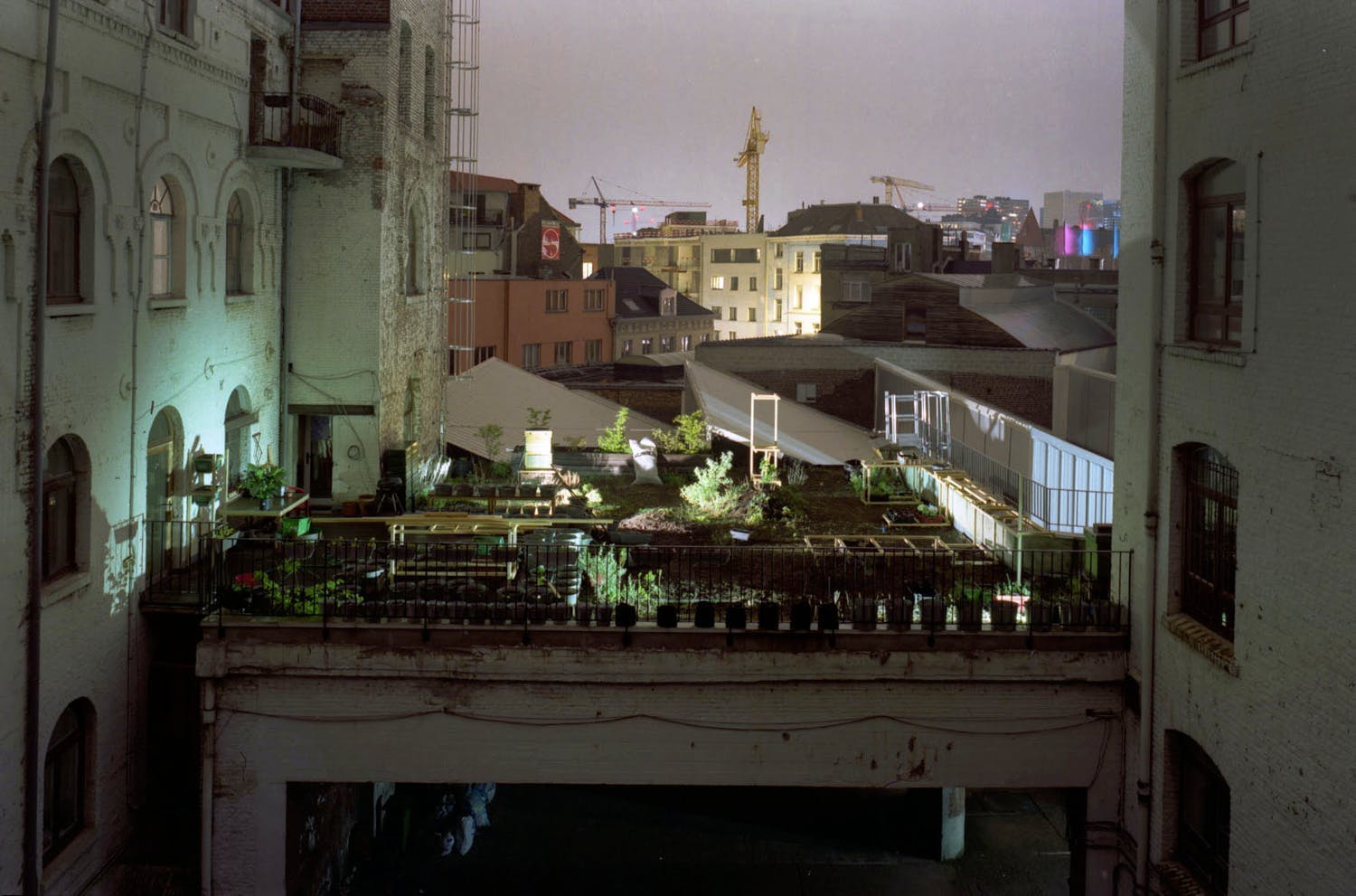 Daniele Sambo (1983)