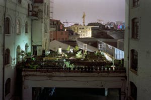 Daniele Sambo - C-print op dibond (ingelijst), OKNO, Brussels kopen? Bied vanaf 200!